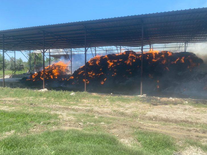 Muğla'da bir çiftlikte çıkan yangın söndürüldü G3