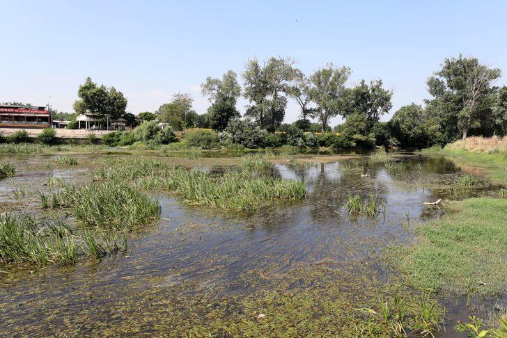 Tunca Nehri'nin debisi geçen aya göre 4 kat düştü G3