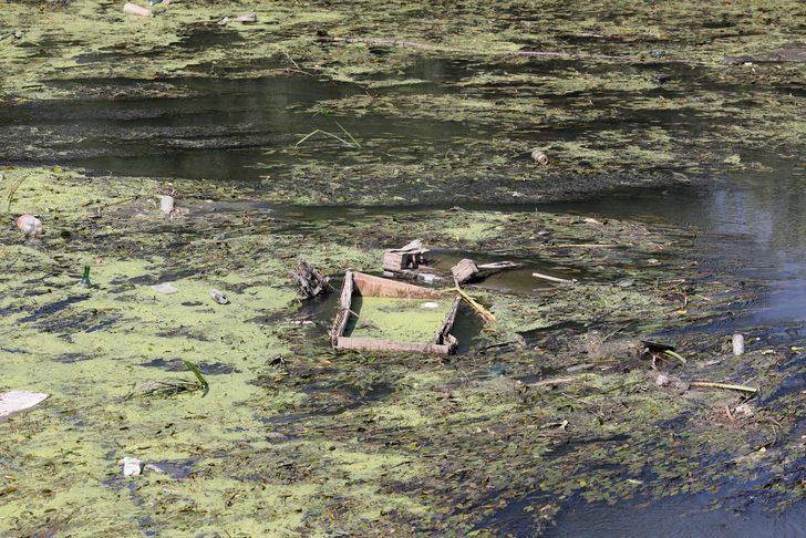 Tunca Nehri'nin debisi geçen aya göre 4 kat düştü G4