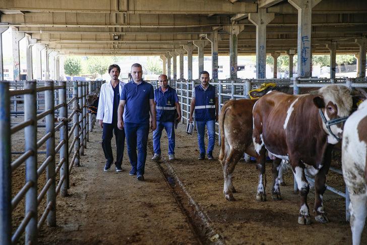 Diyarbakır'da "kurban yakalama timi" göreve hazır G1