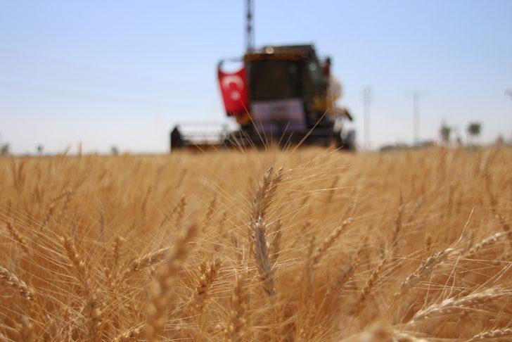 TMO Genel Müdürü Güldal, Konya'da "Tarla Günleri Etkinliği"ne katıldı: G4