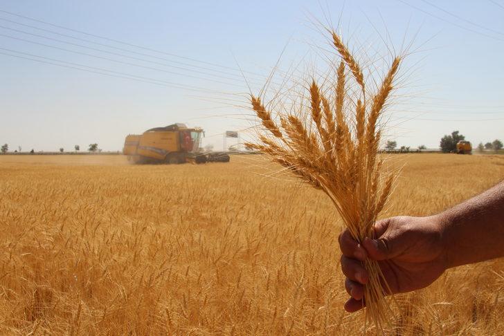 TMO Genel Müdürü Güldal, Konya'da "Tarla Günleri Etkinliği"ne katıldı: G5