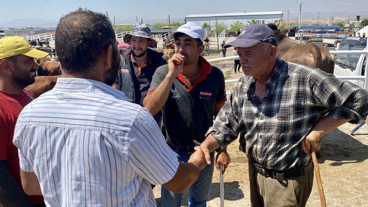 Kırşehir'de hayvan pazarında yoğunluk arttı G4