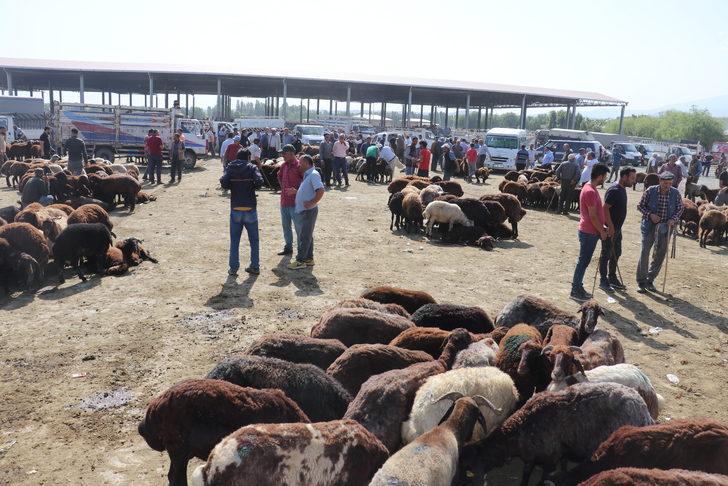 Iğdır'daki hayvan pazarında Kurban Bayramı yoğunluğu yaşanıyor G4