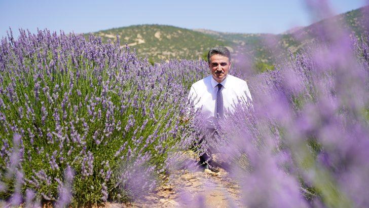 Isparta'da Lavanta Festivali 22 Temmuz'da başlayacak G1