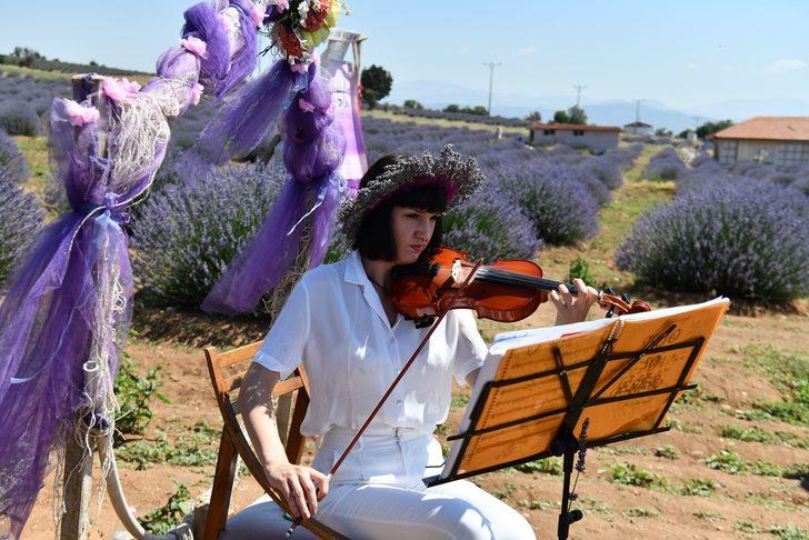 Isparta'da Lavanta Festivali 22 Temmuz'da başlayacak G3