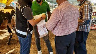 Polis, kurban satıcılarını dolandırıcılara karşı bilgilendirdi