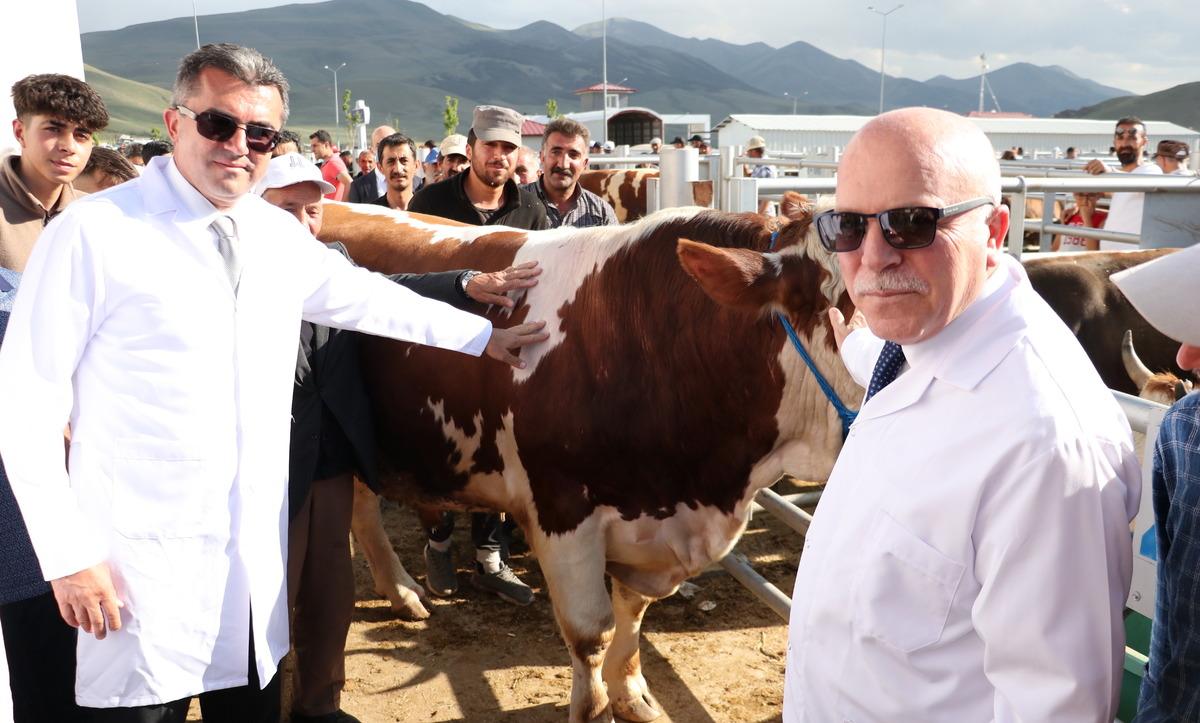 Erzurum Valisi Memiş, "Avrupa'nın en b&uuml;y&uuml;k canlı hayvan pazarında" incelemelerde bulundu