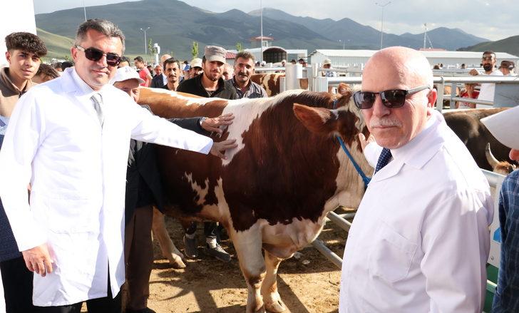 Erzurum Valisi Memiş, "Avrupa'nın en büyük canlı hayvan pazarında" incelemelerde bulundu G1