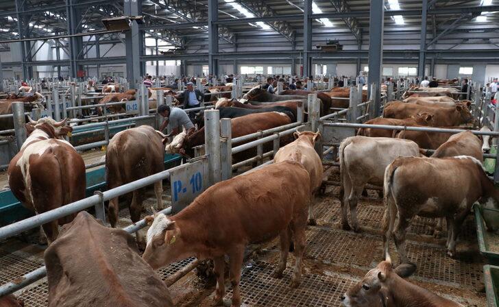 Erzurum Valisi Memiş, "Avrupa'nın en büyük canlı hayvan pazarında" incelemelerde bulundu G2
