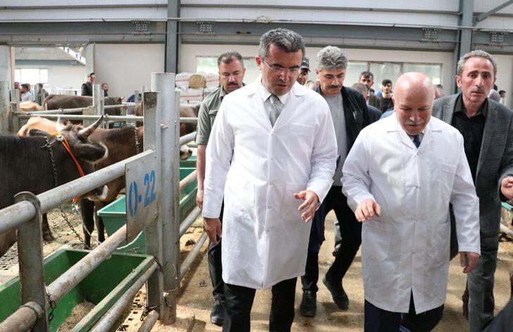 Erzurum Valisi Memiş, "Avrupa'nın en büyük canlı hayvan pazarında" incelemelerde bulundu G3