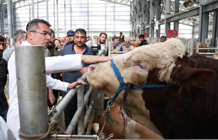 Erzurum Valisi Memiş, "Avrupa'nın en büyük canlı hayvan pazarında" incelemelerde bulundu G4
