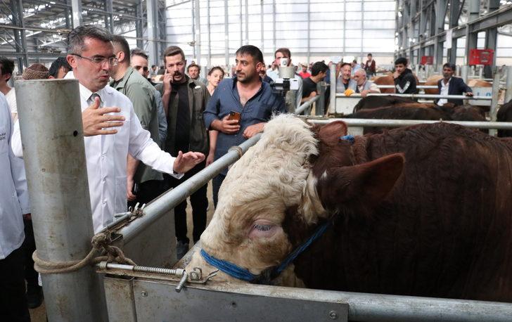 Erzurum Valisi Memiş, "Avrupa'nın en büyük canlı hayvan pazarında" incelemelerde bulundu G5