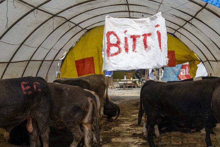 Başkentte hayvan pazarlarındaki kurbanlıkların büyük bölümü satıldı G2