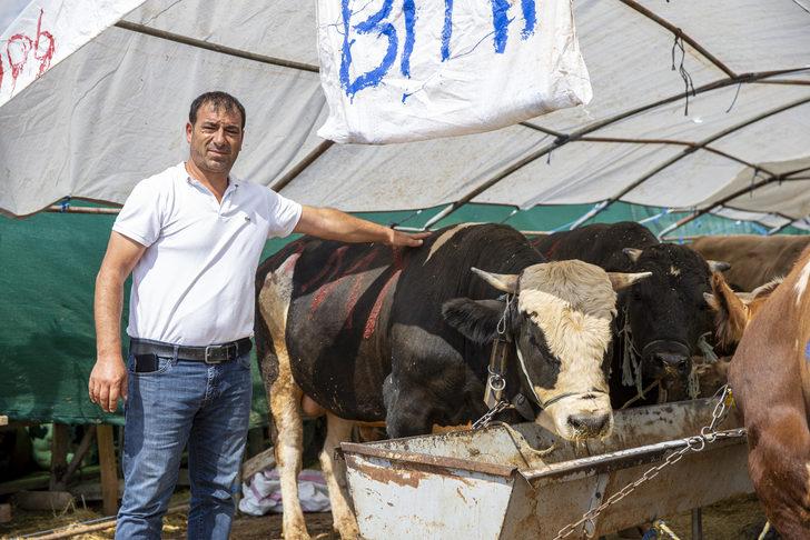 Başkentte hayvan pazarlarındaki kurbanlıkların büyük bölümü satıldı G3