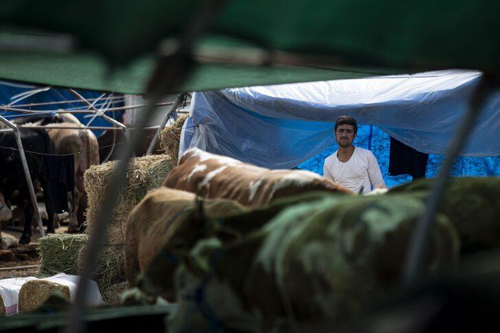 Başkentte hayvan pazarlarındaki kurbanlıkların büyük bölümü satıldı G5