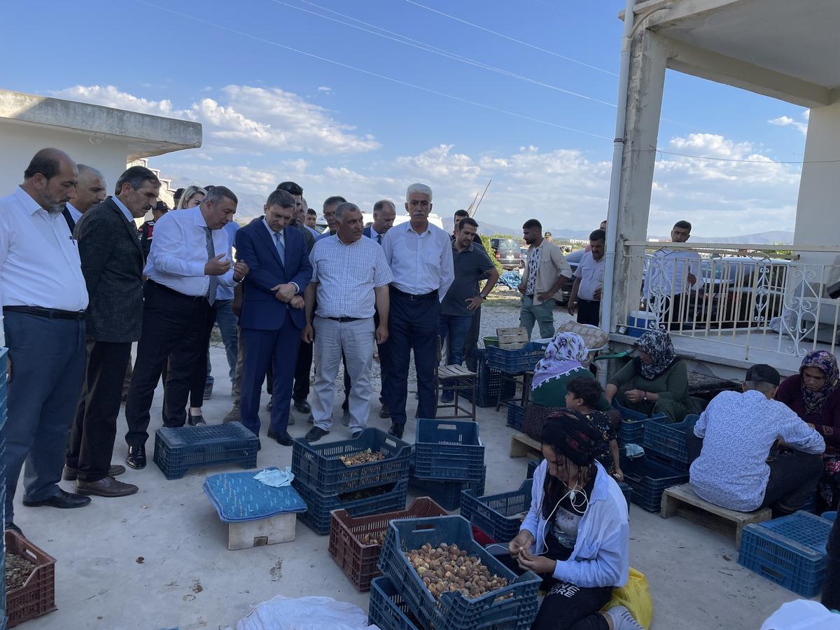 Malatya'da kayısı hasat g&uuml;n&uuml; etkinliği yapıldı