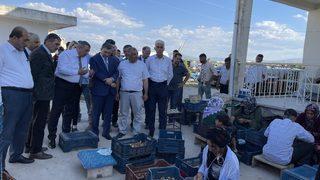 Malatya'da kayısı hasat günü etkinliği yapıldı