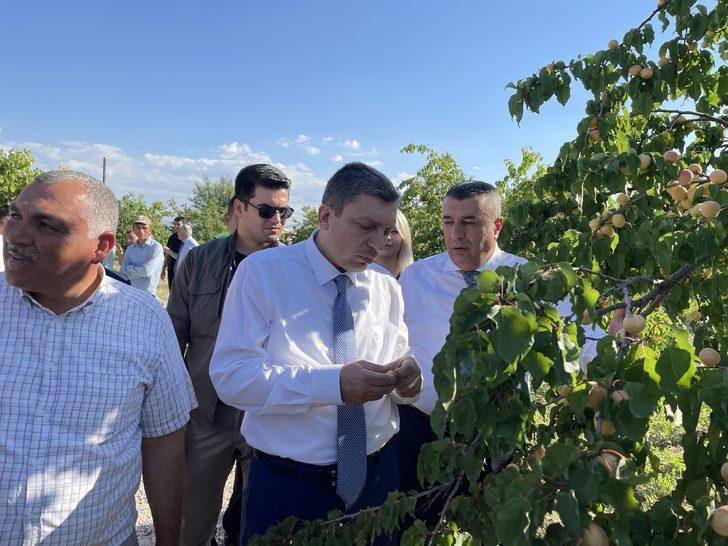 Malatya'da kayısı hasat günü etkinliği yapıldı G2