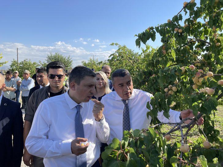 Malatya'da kayısı hasat günü etkinliği yapıldı G3