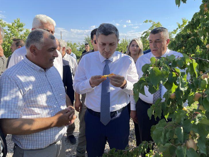 Malatya'da kayısı hasat günü etkinliği yapıldı G4