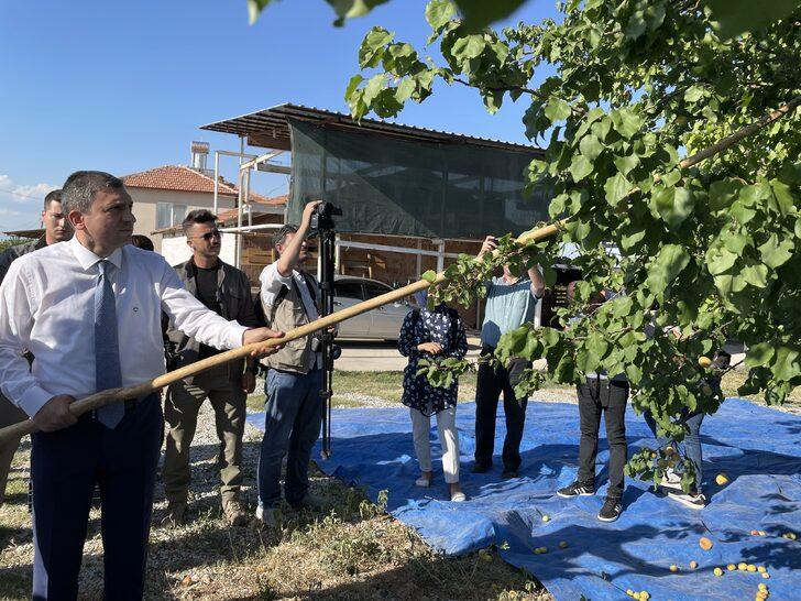 Malatya'da kayısı hasat günü etkinliği yapıldı G5