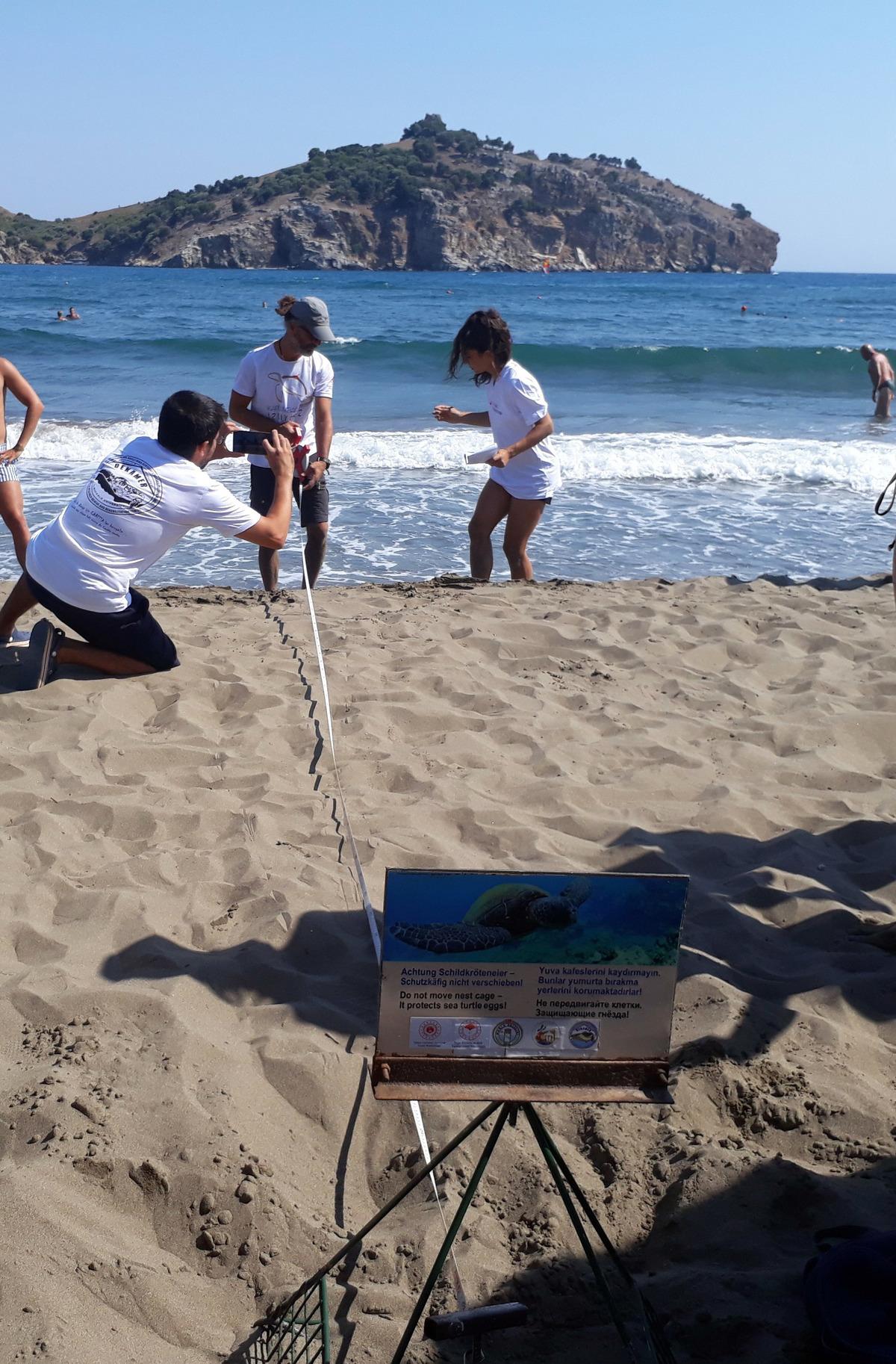 Muğla'da şezlongların arasındaki caretta caretta yuvası korumaya alındı