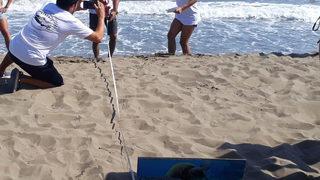 Muğla'da şezlongların arasındaki caretta caretta yuvası korumaya alındı