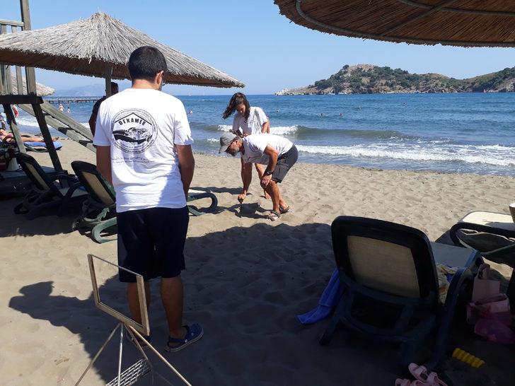 Muğla'da şezlongların arasındaki caretta caretta yuvası korumaya alındı G3