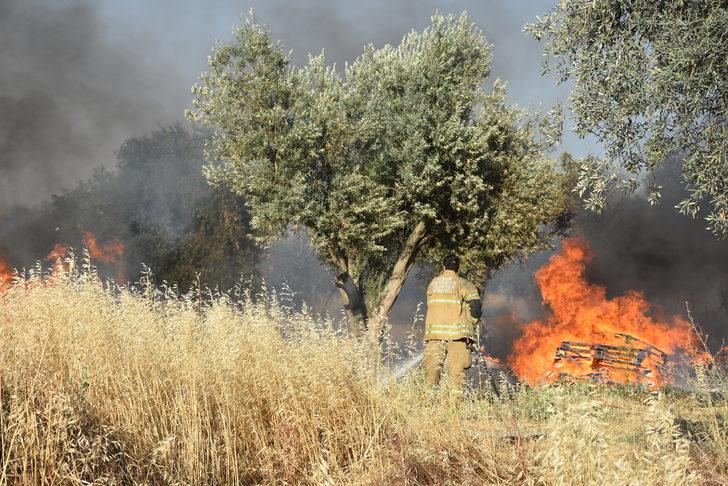 İzmir'de palet imalathanesinde çıkan yangın söndürüldü G2