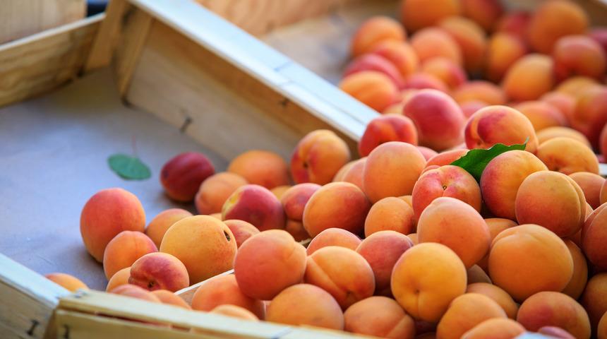 Kanseri öldüren meyvenin 'uzun ve sağlıklı bir ömrü' desteklediği ortaya çıktı! Bol bol yiyeceksiniz