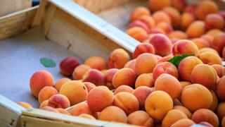 Kanseri öldüren meyvenin 'uzun ve sağlıklı bir ömrü' desteklediği ortaya çıktı! Bol bol yiyeceksiniz