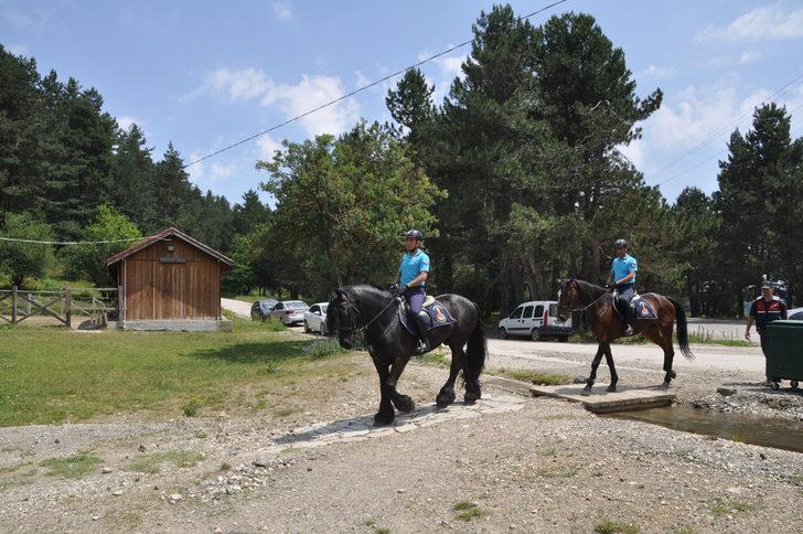 Abant'ta jandarmanın atlı timleri göreve başladı G1