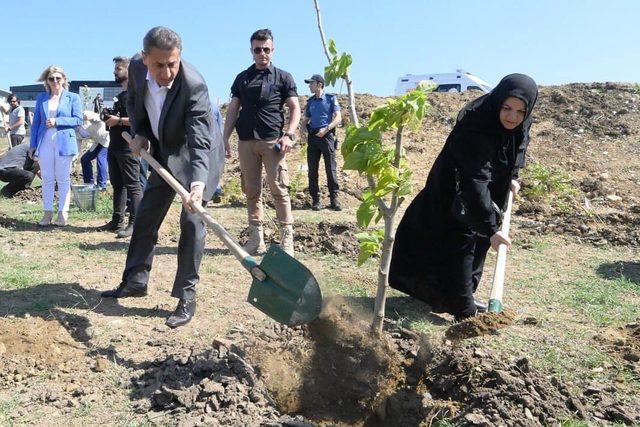 Sinop'ta 15 Temmuz şehitleri için 251 fidan toprakla buluşturuldu