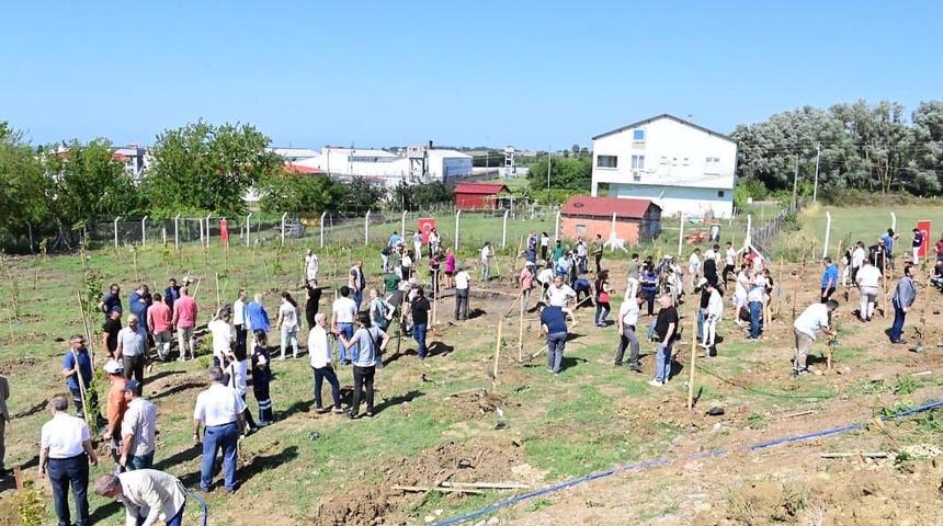 Sinop'ta 15 Temmuz şehitleri için 251 fidan toprakla buluşturuldu