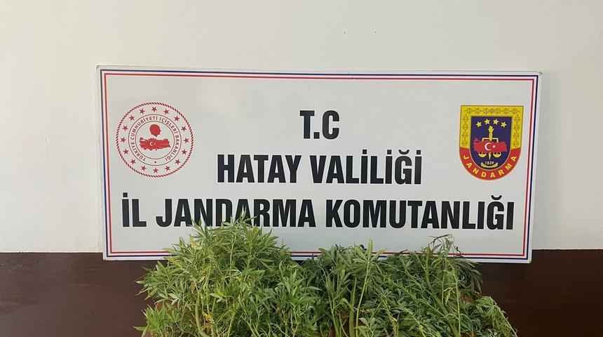 Hatay'da arananlara yönelik operasyonda 11 şüpheli yakalandı