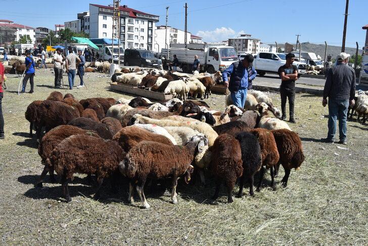 Doğu Anadolu'daki hayvan pazarlarında arife yoğunluğu G1
