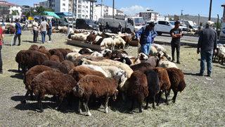 Doğu Anadolu'daki hayvan pazarlarında arife yoğunluğu