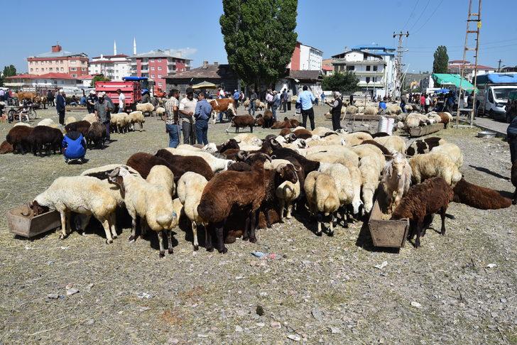 Doğu Anadolu'daki hayvan pazarlarında arife yoğunluğu G2