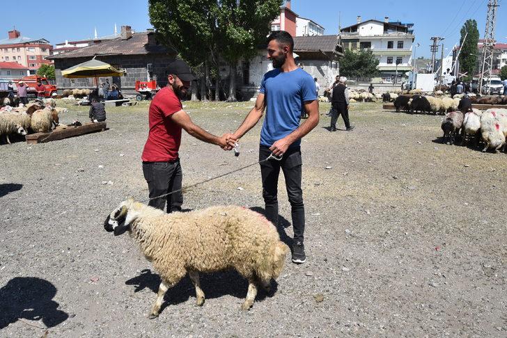 Doğu Anadolu'daki hayvan pazarlarında arife yoğunluğu G3