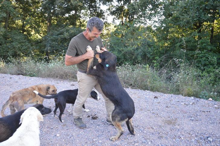 Sosyal medya aracılığıyla buluşan hayvanseverler sahipsiz canlar için yuva yapıyor G5