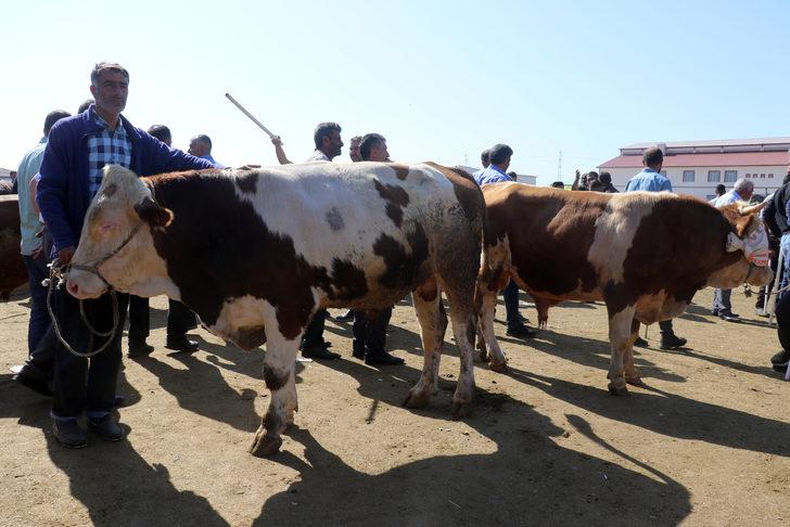 Doğu Anadolu'daki hayvan pazarlarında arife yoğunluğu G5
