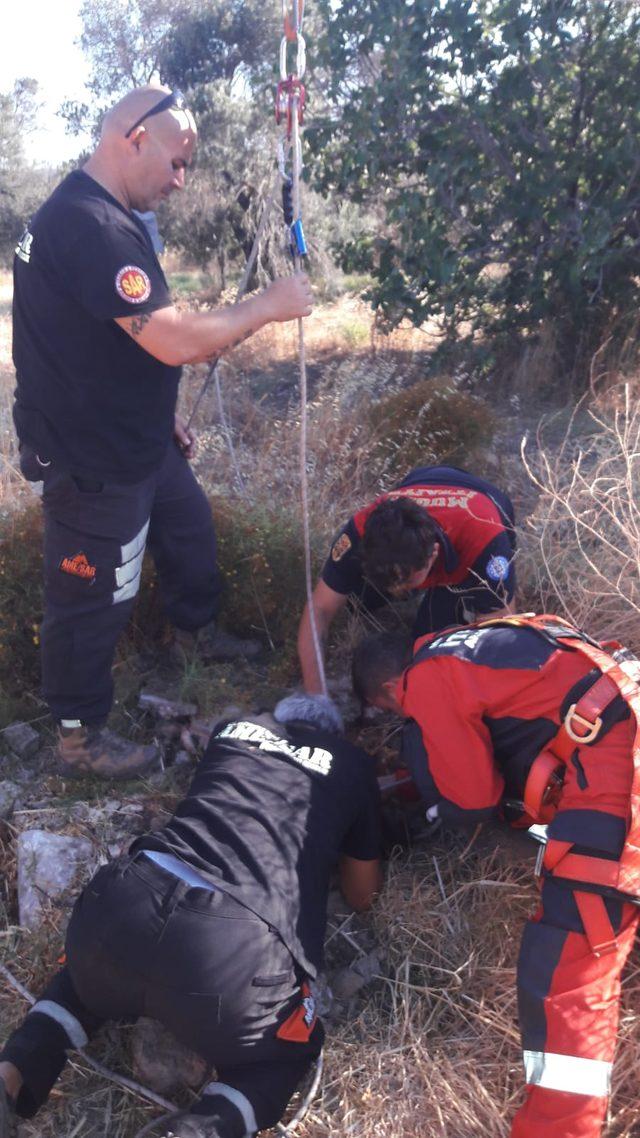 Muğla'da kuyuya düşen oğlak itfaiye ekiplerince kurtarıldı