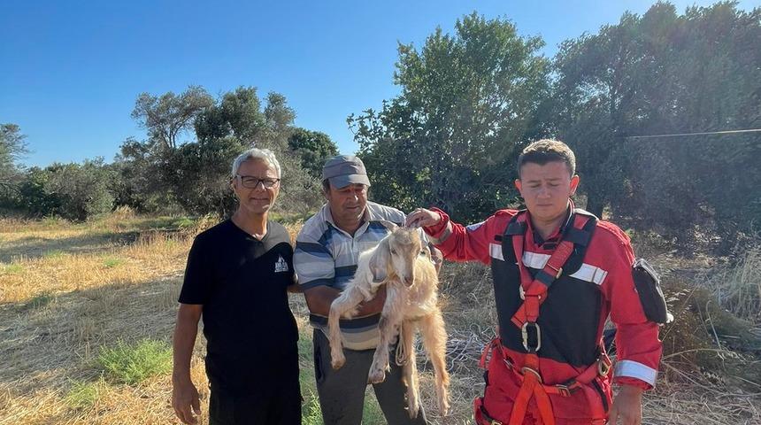 Muğla'da kuyuya düşen oğlak itfaiye ekiplerince kurtarıldı