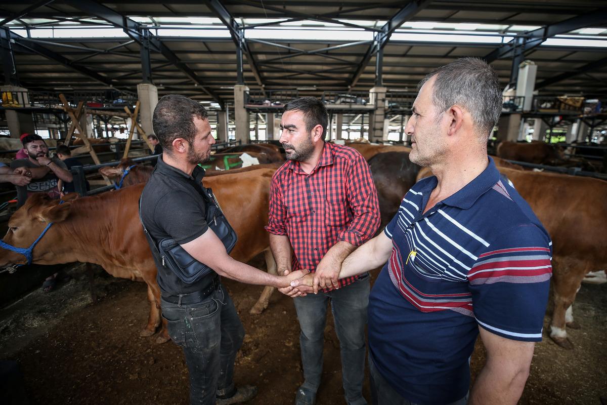 Kurban pazarlarında arife yoğunluğu yaşanıyor