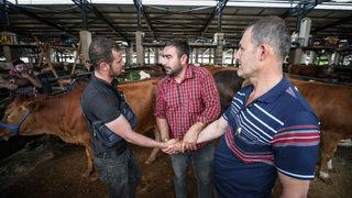 Kurban pazarlarında arife yoğunluğu yaşanıyor