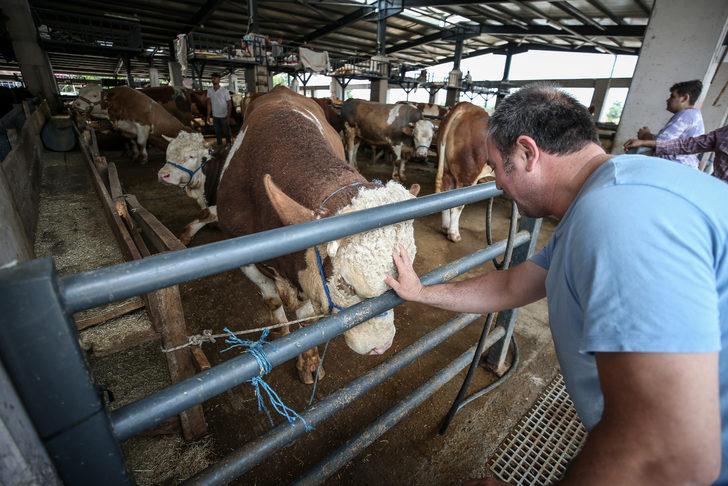 Kurban pazarlarında arife yoğunluğu yaşanıyor G4
