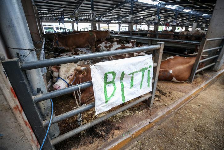 Kurban pazarlarında arife yoğunluğu yaşanıyor G5