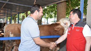 Muğla'da kurban pazarı denetlendi