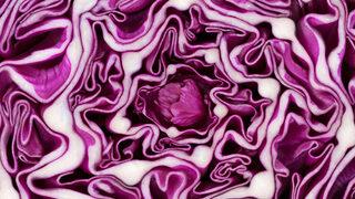 Antioksidan nedir? Antioksidan hangi besinlerde bulunur?